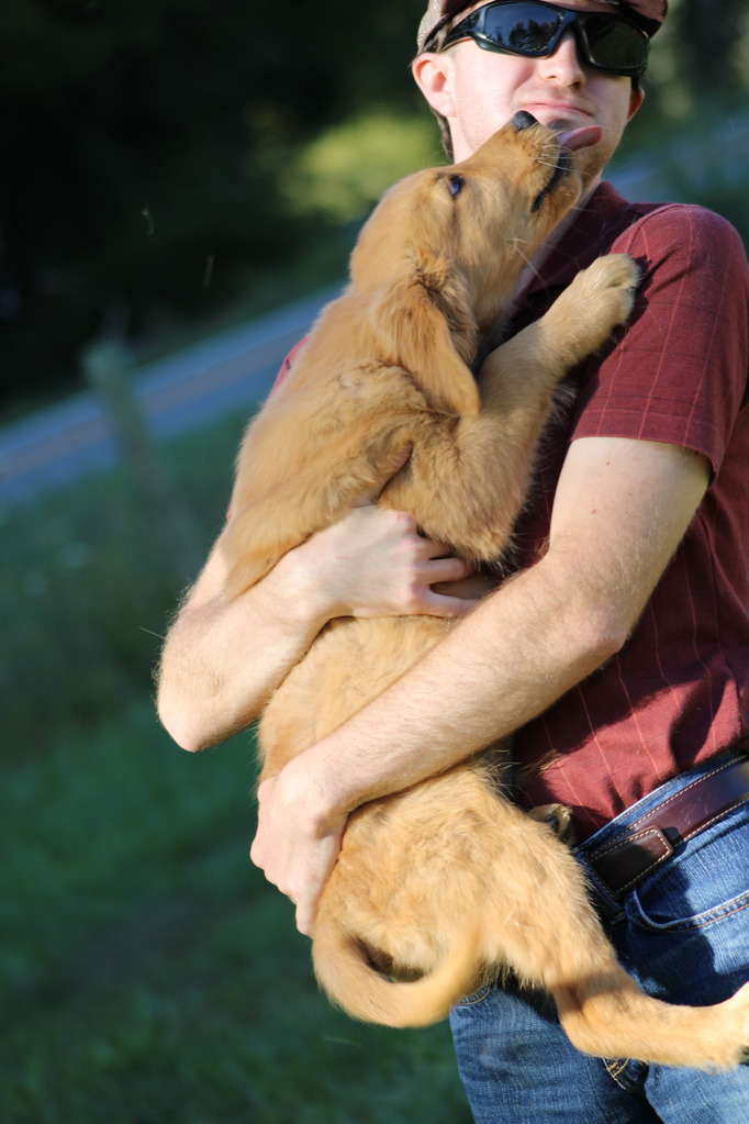 A young man holding his Golden Retriever puppy while the puppy licks his face.